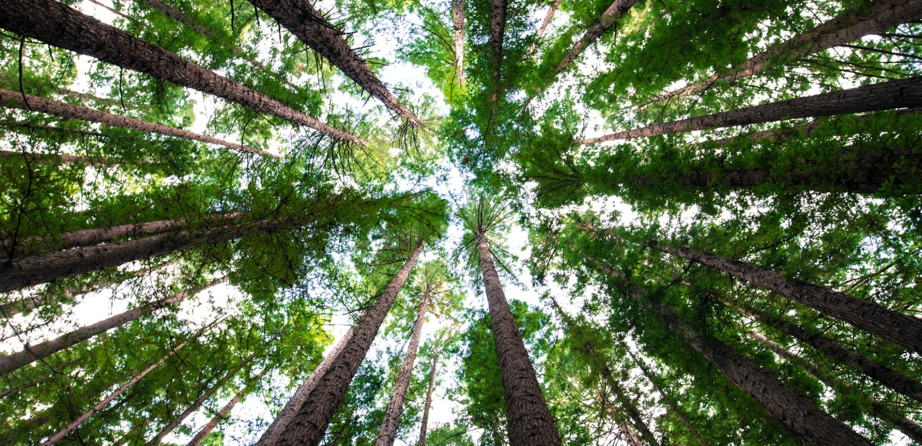 arnaud mesureur 7EqQ1s3wIAI unsplash