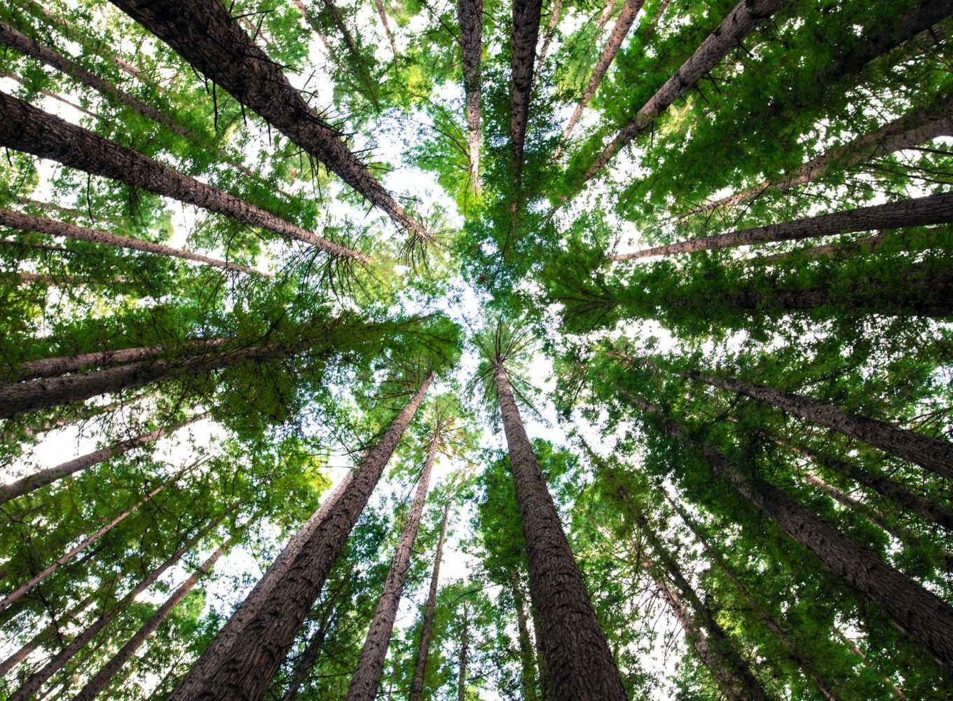 arnaud mesureur 7EqQ1s3wIAI unsplash
