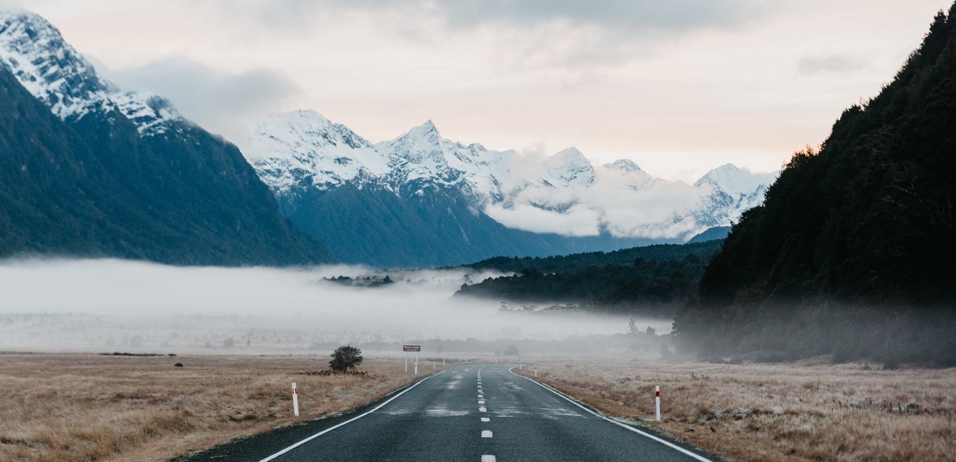 hien nguyen DqddDJIw s4 unsplash v2